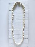 Collar White | 1541